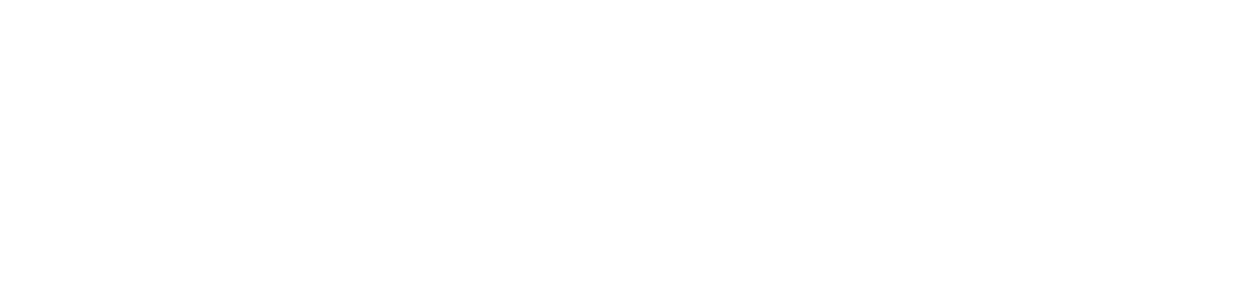 Parameter1 Logo White